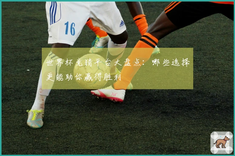 世界杯竞猜平台大盘点：哪些选择更能助你赢得胜利