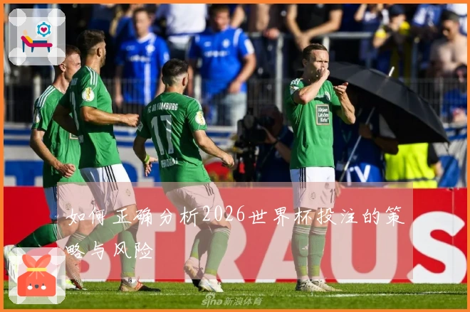 如何正确分析2026世界杯投注的策略与风险