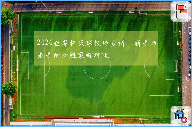 2026世界杯买球技巧分析：新手与老手的必胜策略对比