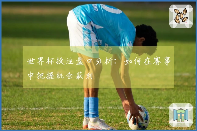 世界杯投注盘口分析：如何在赛事中把握机会获利