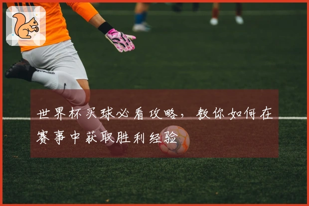 世界杯买球必看攻略，教你如何在赛事中获取胜利经验