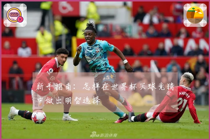 新手指南：怎样在世界杯买球竞猜中做出明智选择