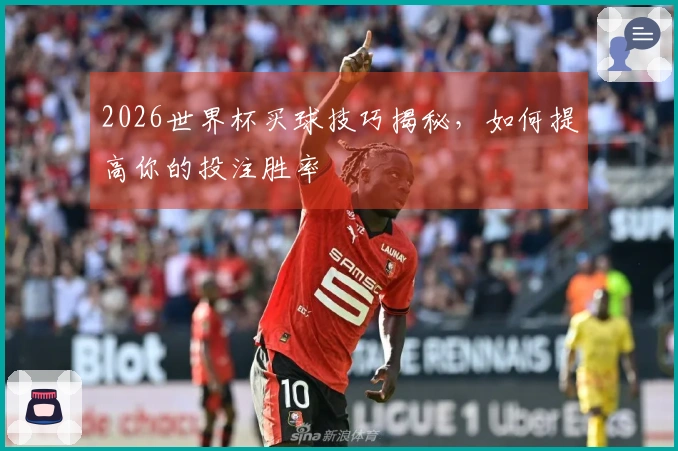 2026世界杯买球技巧揭秘,如何提高你的投注胜率