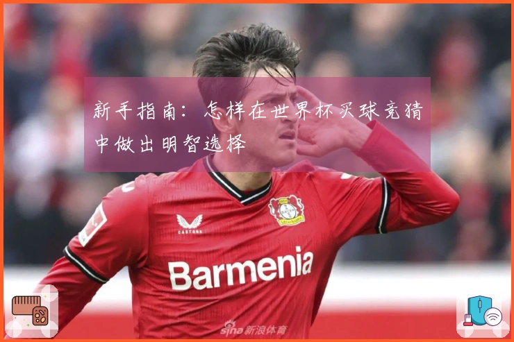 新手指南：怎样在世界杯买球竞猜中做出明智选择