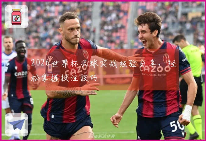 2026世界杯买球实战经验分享，轻松掌握投注技巧
