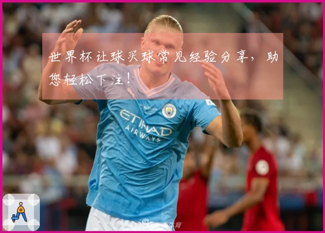 世界杯让球买球常见经验分享，助您轻松下注！
