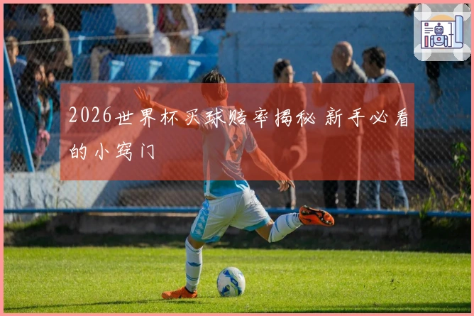 2026世界杯买球赔率揭秘 新手必看的小窍门