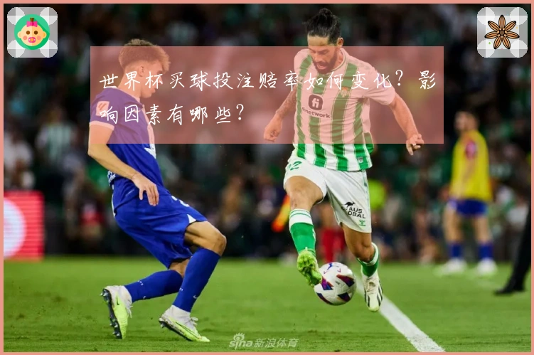 世界杯买球投注赔率如何变化？影响因素有哪些？