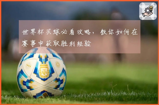 世界杯买球必看攻略，教你如何在赛事中获取胜利经验