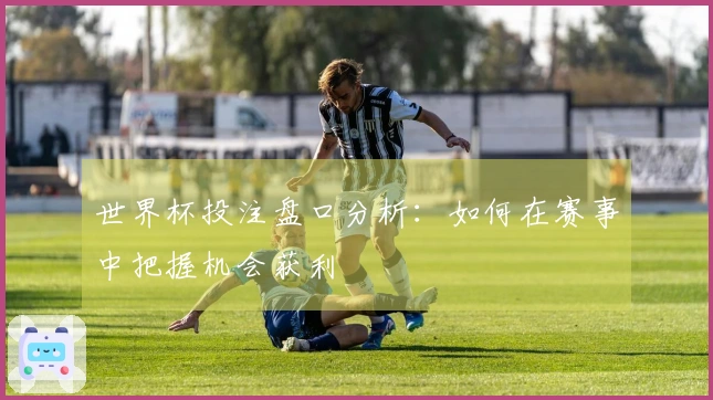 世界杯投注盘口分析：如何在赛事中把握机会获利
