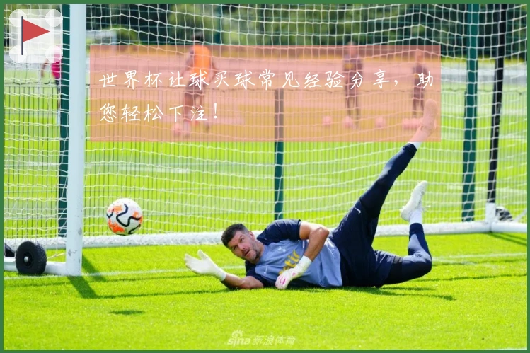 世界杯让球买球常见经验分享，助您轻松下注！