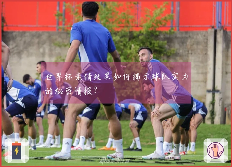 世界杯竞猜结果如何揭示球队实力的秘密情报？