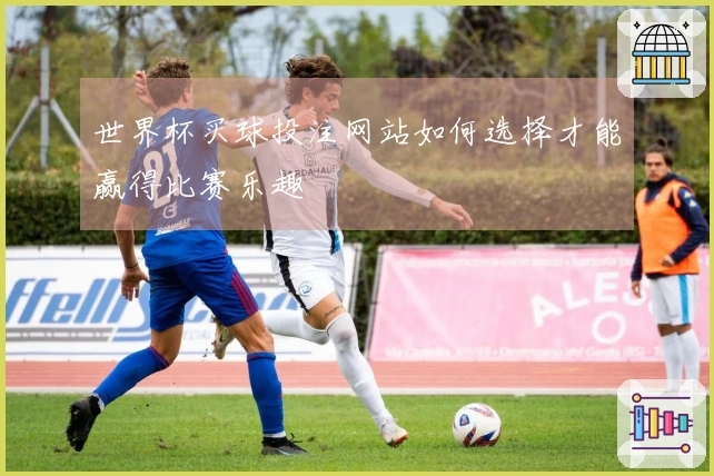世界杯买球投注网站如何选择才能赢得比赛乐趣