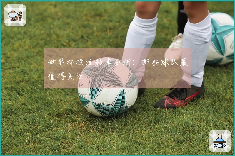 世界杯投注赔率分析：哪些球队最值得关注