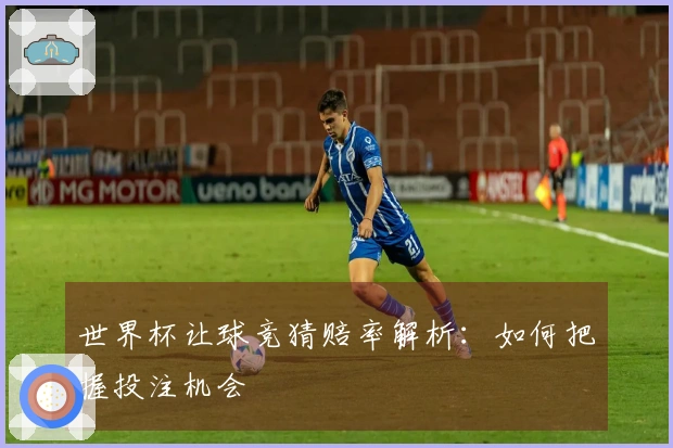 世界杯让球竞猜赔率解析：如何把握投注机会