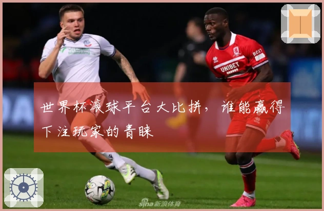 世界杯滚球平台大比拼，谁能赢得下注玩家的青睐