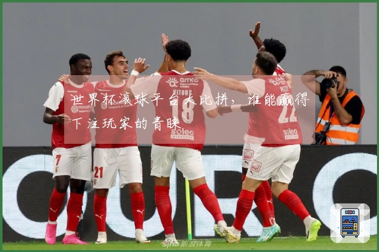 世界杯滚球平台大比拼，谁能赢得下注玩家的青睐