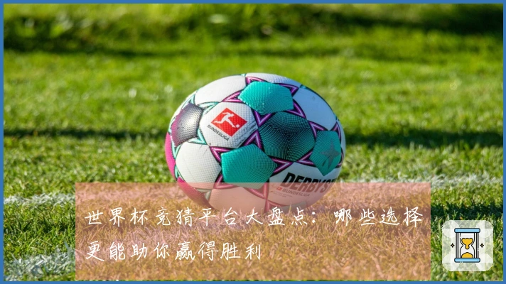 世界杯竞猜平台大盘点：哪些选择更能助你赢得胜利