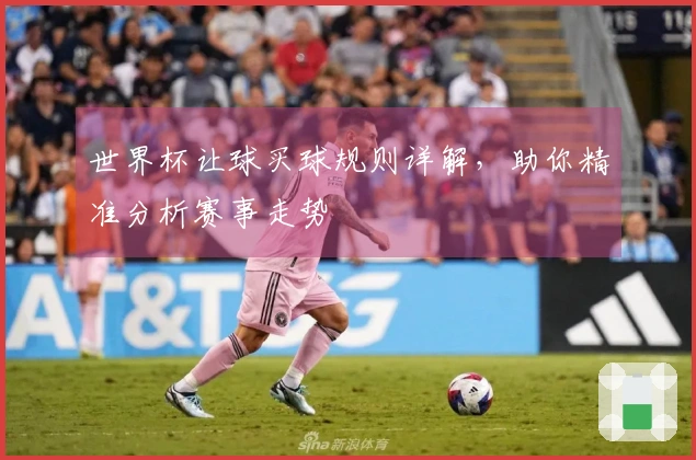 世界杯让球买球规则详解，助你精准分析赛事走势
