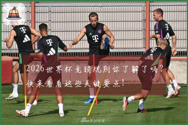 2026世界杯竞猜规则你了解了吗？快来看看这些关键要点！