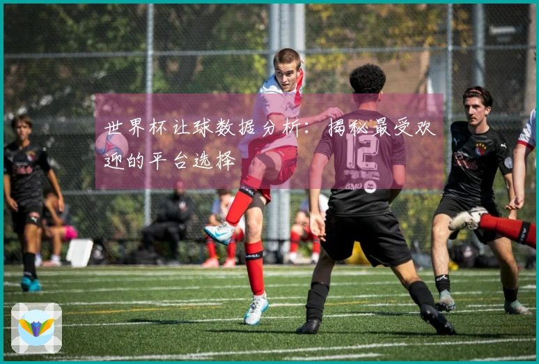 世界杯让球数据分析：揭秘最受欢迎的平台选择