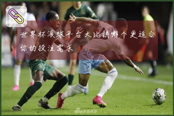 世界杯滚球平台大比拼哪个更适合你的投注需求