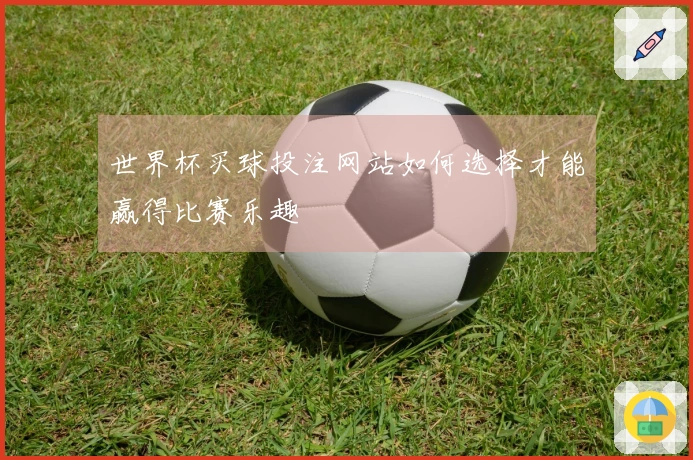 世界杯买球投注网站如何选择才能赢得比赛乐趣